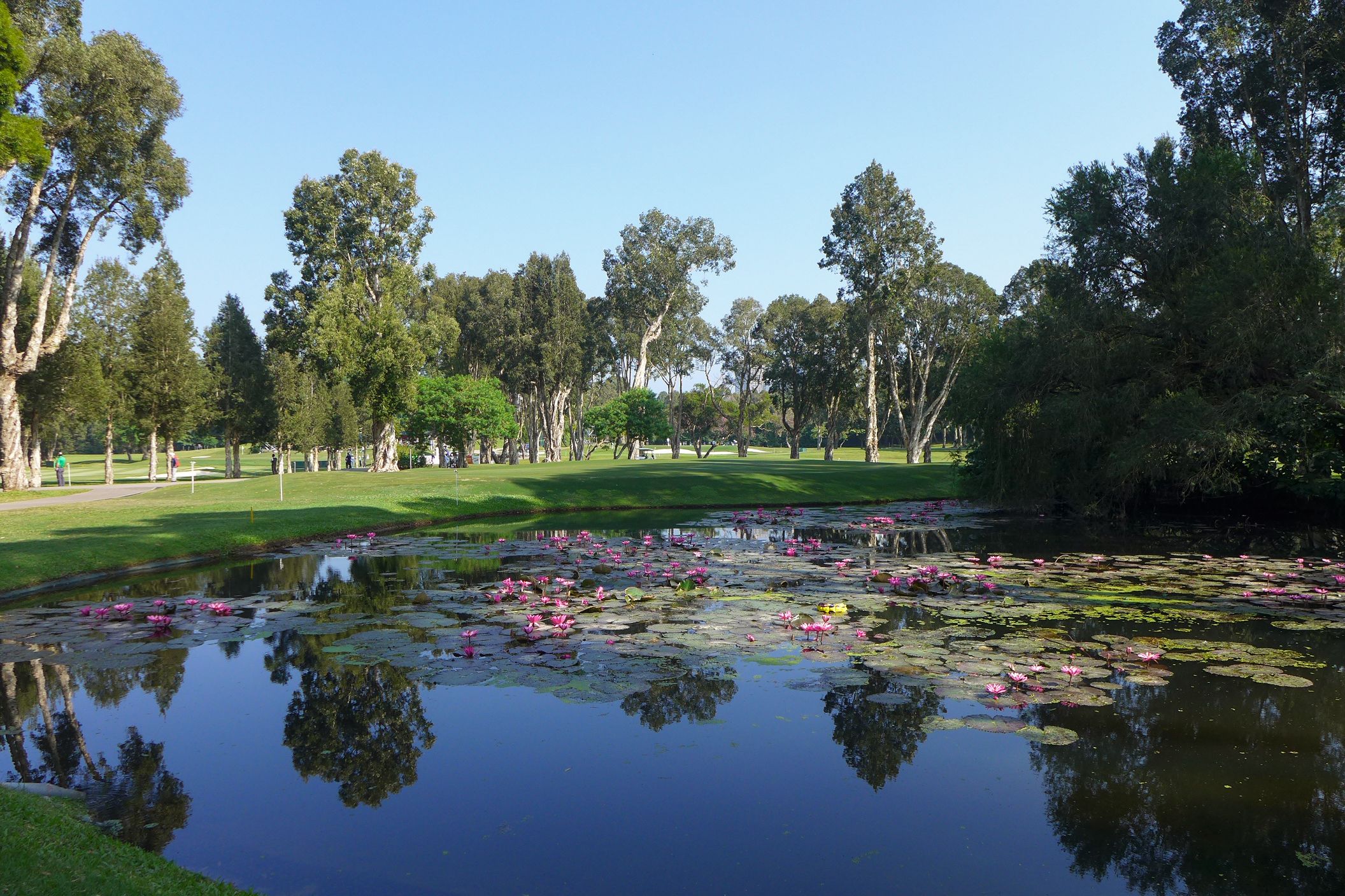 Hong_Kong_Golf_Club_Fanling_Pond_view_2016.jpg