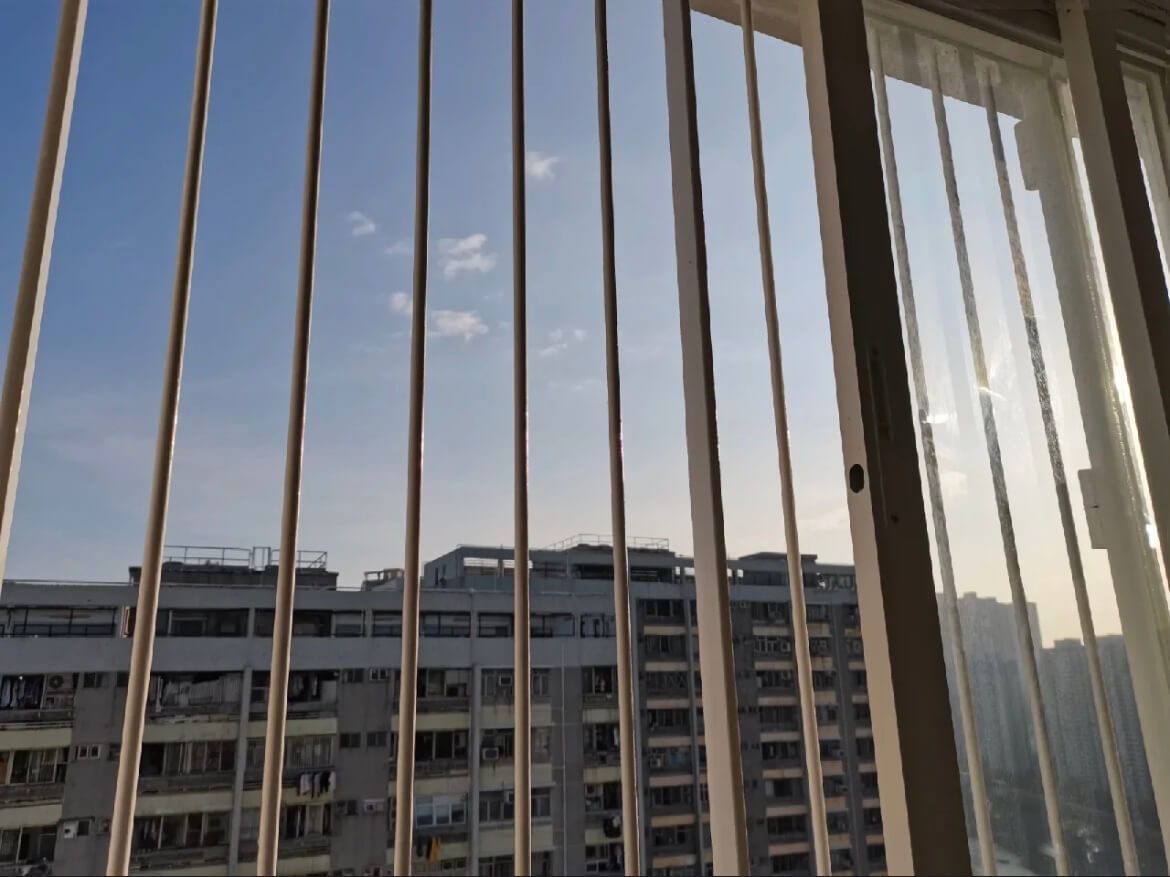 IMG_9674.jpeg